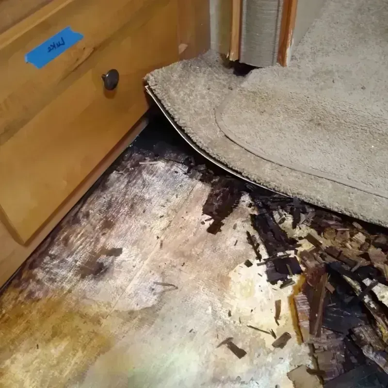 Best Wood Floor Water Damage Service in Martin, SD